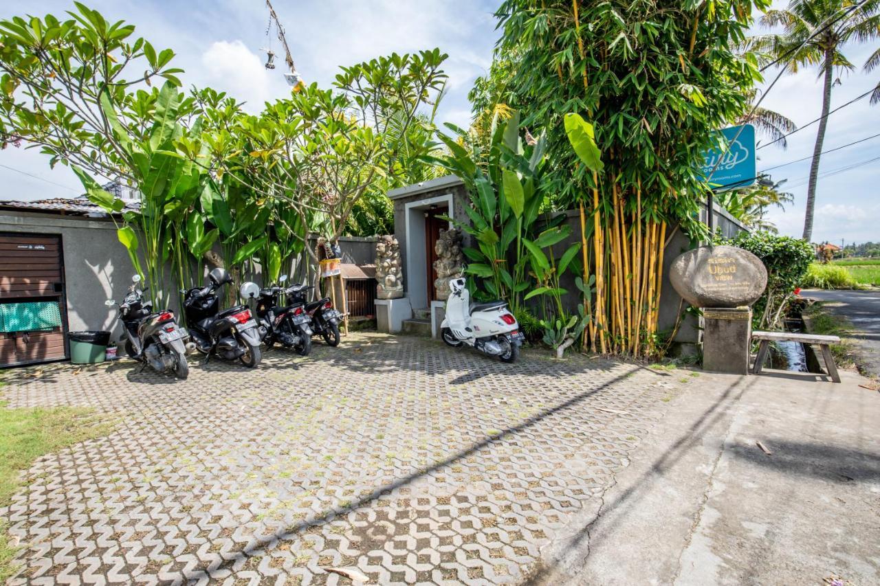 Sisin Ubud View Exteriér fotografie