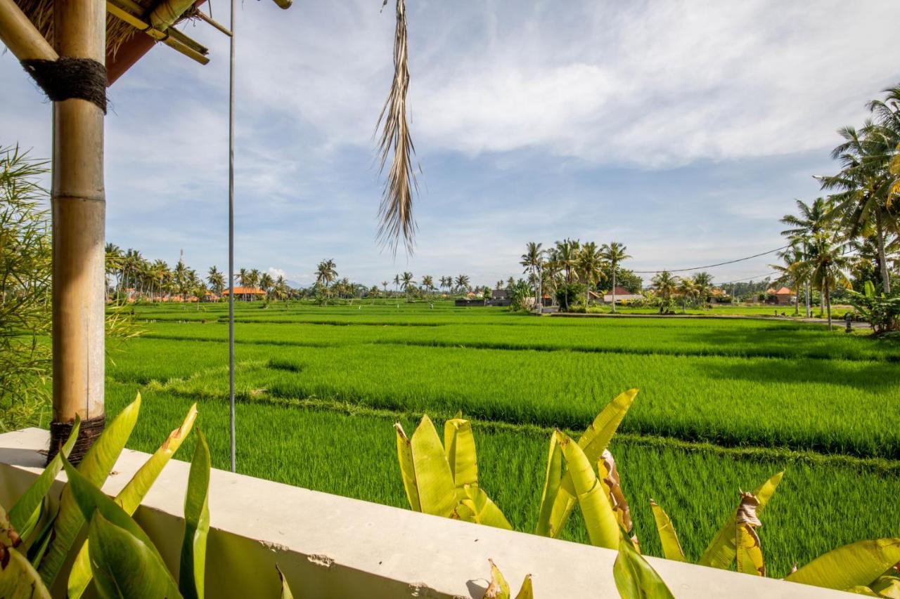 Sisin Ubud View Exteriér fotografie
